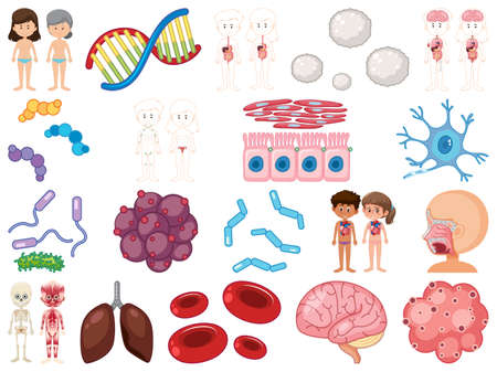 The Evolution of Fat Freezing: From Laboratory Innovation to UK High Street Clinics