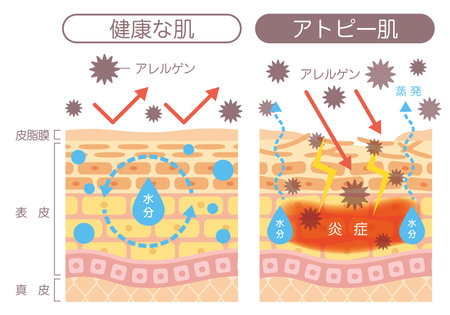Obagi versus ZO Skin Health: Comparing Leading Medical-Grade Skincare Brands