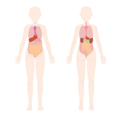 Exploring UK-Based Clinics for Post-Pregnancy Body Treatments: What to Expect