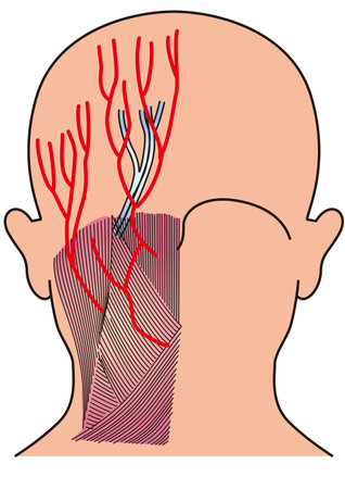 Histological Differences in Ethnic Skin and Their Impact on Laser Treatments