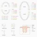 Navigating Your Initial Aesthetic Clinic Consultation: What to Expect in the UK
