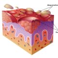 Popular Cellulite Treatments Available in London: Clinics, Trends, and Patient Experiences