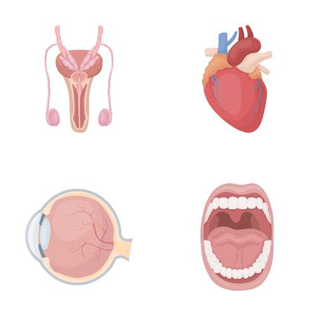Traditional Fat Reduction Treatments: Liposuction and Beyond