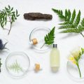 Harnessing British Botanicals: Local Ingredients Leading the Way in Sustainable Beauty