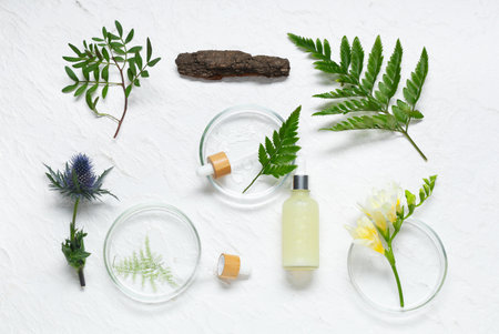 Harnessing British Botanicals: Local Ingredients Leading the Way in Sustainable Beauty